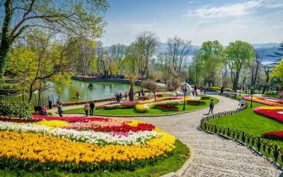 Festivalul lalelelor și a XI a Conferință!